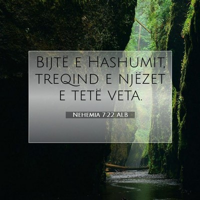 Picture 07 - Nehemia 7:22 ALB - Bijtë e Hashumit, treqind e njëzet e tetë - Bible Verse Picture