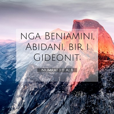 Picture 07 - Numrat 1:11 ALB - nga Beniamini, Abidani, bir i - Bible Verse Picture