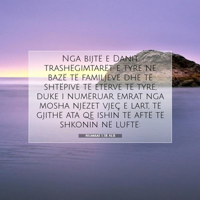 Picture 07 - Numrat 1:38 ALB - Nga bijtë e Danit, trashëgimtarët e tyre në - Bible Verse Picture