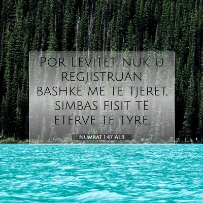 Picture 07 - Numrat 1:47 ALB - Por Levitët nuk u regjistruan bashkë me të - Bible Verse Picture