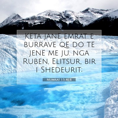 Picture 07 - Numrat 1:5 ALB - Këta janë emrat e burrave që do të jenë me - Bible Verse Picture