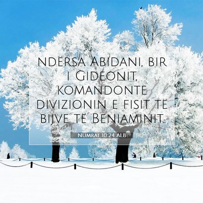 Picture 07 - Numrat 10:24 ALB - ndërsa Abidani, bir i Gideonit, komandonte - Bible Verse Picture