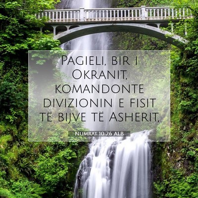 Picture 07 - Numrat 10:26 ALB - Pagieli, bir i Okranit, komandonte divizionin e - Bible Verse Picture
