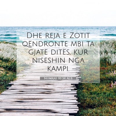 Picture 07 - Numrat 10:34 ALB - Dhe reja e Zotit qëndronte mbi ta gjatë ditës, - Bible Verse Picture