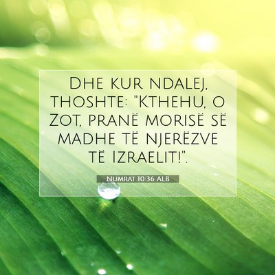 Picture 07 - Numrat 10:36 ALB - Dhe kur ndalej, thoshte: 