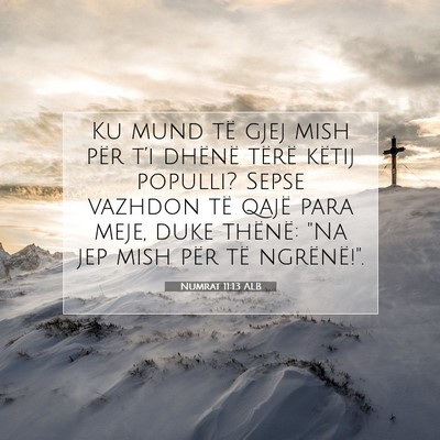 Picture 07 - Numrat 11:13 ALB - Ku mund të gjej mish për t’i dhënë tërë - Bible Verse Picture