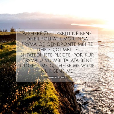 Picture 07 - Numrat 11:25 ALB - Atëherë Zoti zbriti në renë dhe i foli atij, - Bible Verse Picture