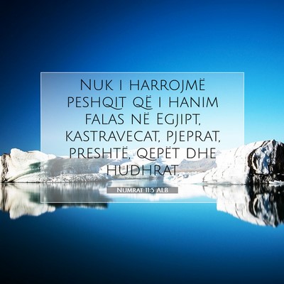 Picture 07 - Numrat 11:5 ALB - Nuk i harrojmë peshqit që i hanim falas në - Bible Verse Picture
