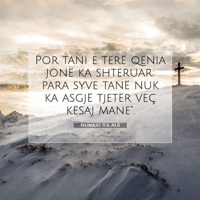 Picture 07 - Numrat 11:6 ALB - Por tani e tërë qënia jonë ka shteruar; para - Bible Verse Picture