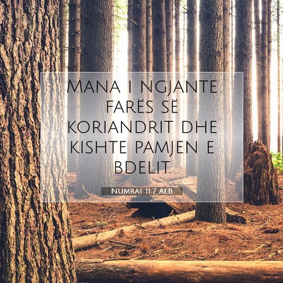 Picture 07 - Numrat 11:7 ALB - Mana i ngjante farës së koriandrit dhe kishte - Bible Verse Picture
