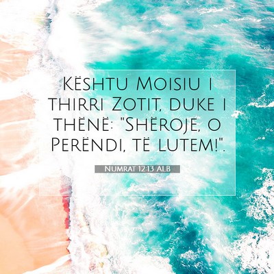 Picture 07 - Numrat 12:13 ALB - Kështu Moisiu i thirri Zotit, duke i thënë: - Bible Verse Picture