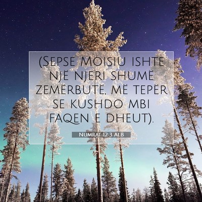 Picture 07 - Numrat 12:3 ALB - (Sepse Moisiu ishte një njeri shumë - Bible Verse Picture
