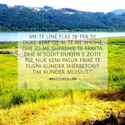 Picture 07 - Numrat 12:8 ALB - Me të unë flas sy për sy, duke bërë që ai - Bible Verse Picture