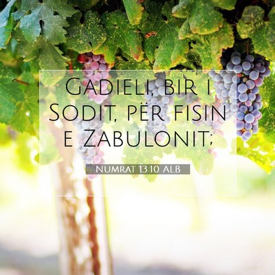 Picture 07 - Numrat 13:10 ALB - Gadieli, bir i Sodit, për fisin e - Bible Verse Picture
