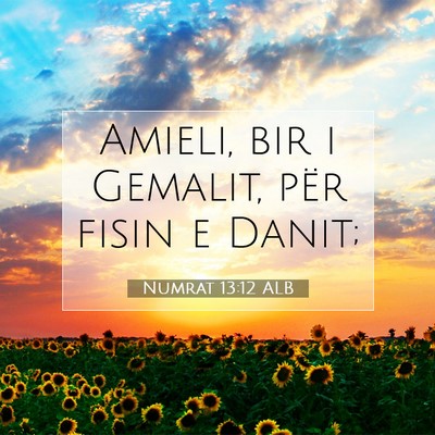 Picture 07 - Numrat 13:12 ALB - Amieli, bir i Gemalit, për fisin e - Bible Verse Picture