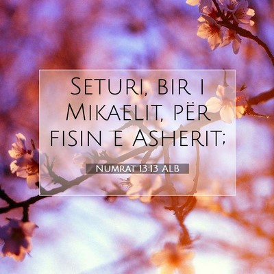 Picture 07 - Numrat 13:13 ALB - Seturi, bir i Mikaelit, për fisin e - Bible Verse Picture