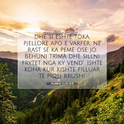 Picture 07 - Numrat 13:20 ALB - dhe si është toka, pjellore apo e varfër, në - Bible Verse Picture
