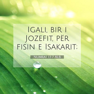 Picture 07 - Numrat 13:7 ALB - Igali, bir i Jozefit, për fisin e - Bible Verse Picture