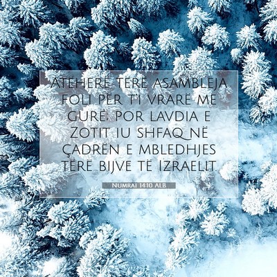 Picture 07 - Numrat 14:10 ALB - Atëherë tërë asambleja foli për t’i vrarë - Bible Verse Picture