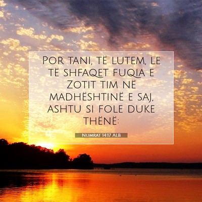 Picture 07 - Numrat 14:17 ALB - Por tani, të lutem, le të shfaqet fuqia e Zotit - Bible Verse Picture