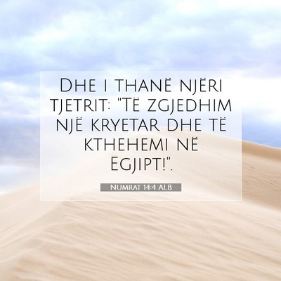 Picture 07 - Numrat 14:4 ALB - Dhe i thanë njëri tjetrit: 