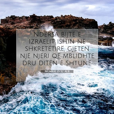 Picture 07 - Numrat 15:32 ALB - Ndërsa bijtë e Izraelit ishin në - Bible Verse Picture
