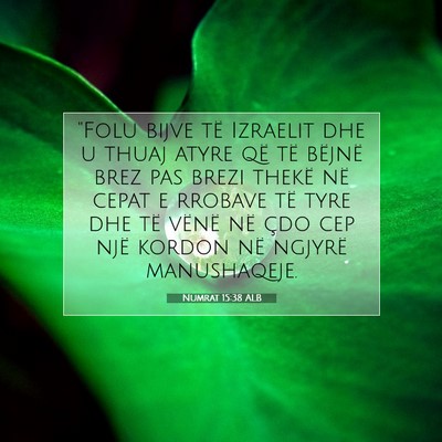 Picture 07 - Numrat 15:38 ALB - 