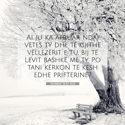 Picture 07 - Numrat 16:10 ALB - Ai ju ka afruar ndaj vetes ty dhe të gjithë - Bible Verse Picture