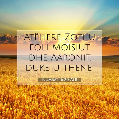 Picture 07 - Numrat 16:20 ALB - Atëherë Zoti u foli Moisiut dhe Aaronit, duke u - Bible Verse Picture