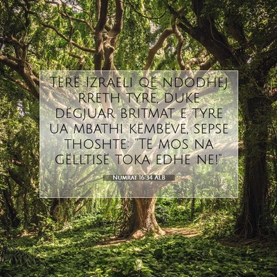 Picture 07 - Numrat 16:34 ALB - Tërë Izraeli që ndodhej rreth tyre, duke - Bible Verse Picture