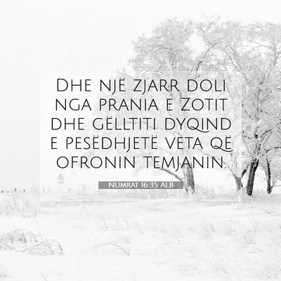 Picture 07 - Numrat 16:35 ALB - Dhe një zjarr doli nga prania e Zotit dhe - Bible Verse Picture