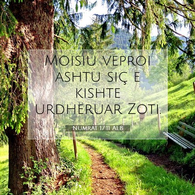 Picture 07 - Numrat 17:11 ALB - Moisiu veproi ashtu siç e kishte urdhëruar - Bible Verse Picture