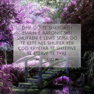 Picture 07 - Numrat 17:3 ALB - dhe do të shkruash emrin e Aaronit mbi shufrën - Bible Verse Picture