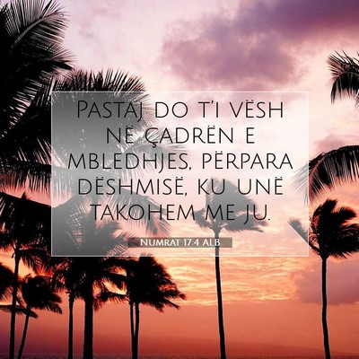 Picture 07 - Numrat 17:4 ALB - Pastaj do t’i vësh në çadrën e mbledhjes, - Bible Verse Picture