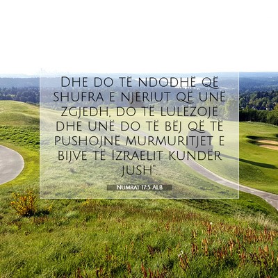 Picture 07 - Numrat 17:5 ALB - Dhe do të ndodhë që shufra e njeriut që unë - Bible Verse Picture