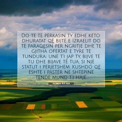 Picture 07 - Numrat 18:11 ALB - Do të të përkasin ty edhe këto: dhuratat që - Bible Verse Picture