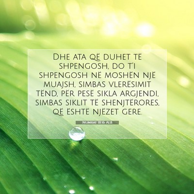 Picture 07 - Numrat 18:16 ALB - Dhe ata që duhet të shpengosh, do t’i - Bible Verse Picture