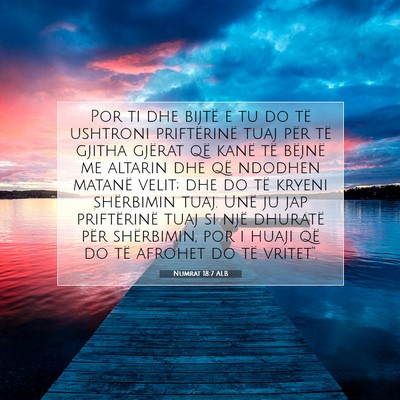 Picture 07 - Numrat 18:7 ALB - Por ti dhe bijtë e tu do të ushtroni - Bible Verse Picture