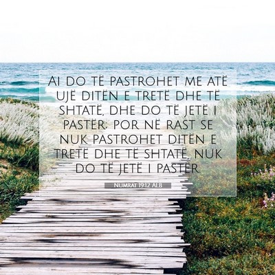 Picture 07 - Numrat 19:12 ALB - Ai do të pastrohet me atë ujë ditën e tretë - Bible Verse Picture