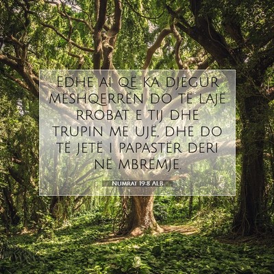 Picture 07 - Numrat 19:8 ALB - Edhe ai që ka djegur mëshqerrën do të lajë - Bible Verse Picture
