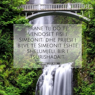 Picture 07 - Numrat 2:12 ALB - Pranë tij do të vendoset fisi i Simeonit; dhe - Bible Verse Picture