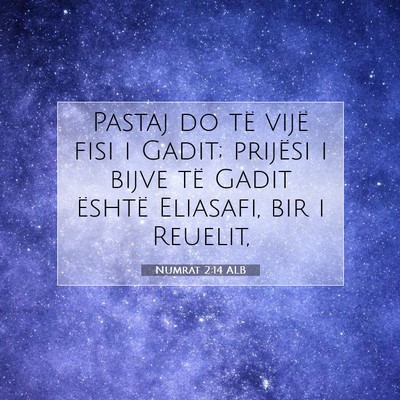 Picture 07 - Numrat 2:14 ALB - Pastaj do të vijë fisi i Gadit; prijësi i - Bible Verse Picture