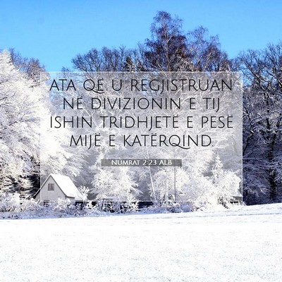 Picture 07 - Numrat 2:23 ALB - ata që u regjistruan në divizionin e tij ishin - Bible Verse Picture