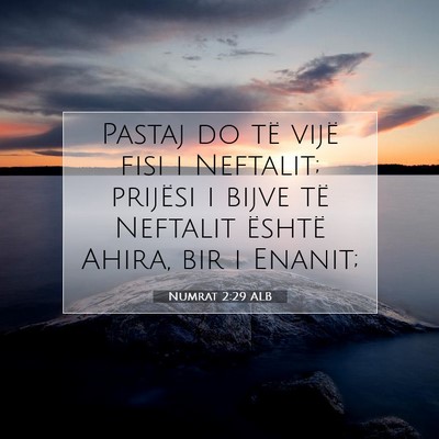 Picture 07 - Numrat 2:29 ALB - Pastaj do të vijë fisi i Neftalit; prijësi i - Bible Verse Picture
