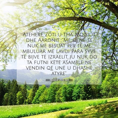Picture 07 - Numrat 20:12 ALB - Atëherë Zoti u tha Moisiut dhe Aaronit: 