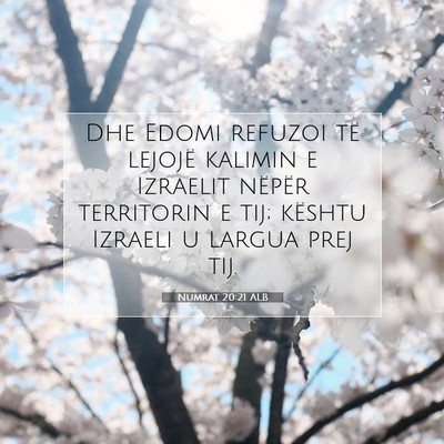 Picture 07 - Numrat 20:21 ALB - Dhe Edomi refuzoi të lejojë kalimin e Izraelit - Bible Verse Picture