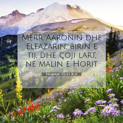 Picture 07 - Numrat 20:25 ALB - Merr Aaronin dhe Eleazarin, birin e tij, dhe - Bible Verse Picture