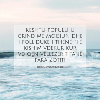 Picture 07 - Numrat 20:3 ALB - Kështu populli u grind me Moisiun dhe i foli, - Bible Verse Picture