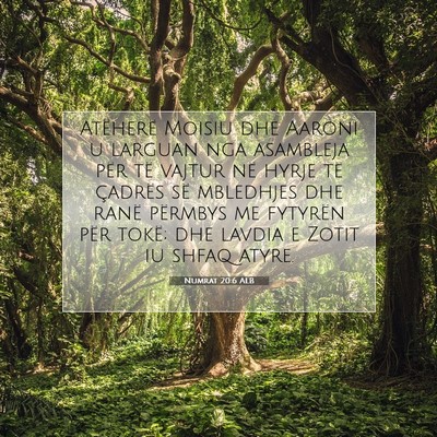 Picture 07 - Numrat 20:6 ALB - Atëherë Moisiu dhe Aaroni u larguan nga - Bible Verse Picture