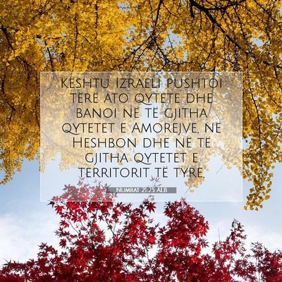 Picture 07 - Numrat 21:25 ALB - Kështu Izraeli pushtoi tërë ato qytete dhe - Bible Verse Picture